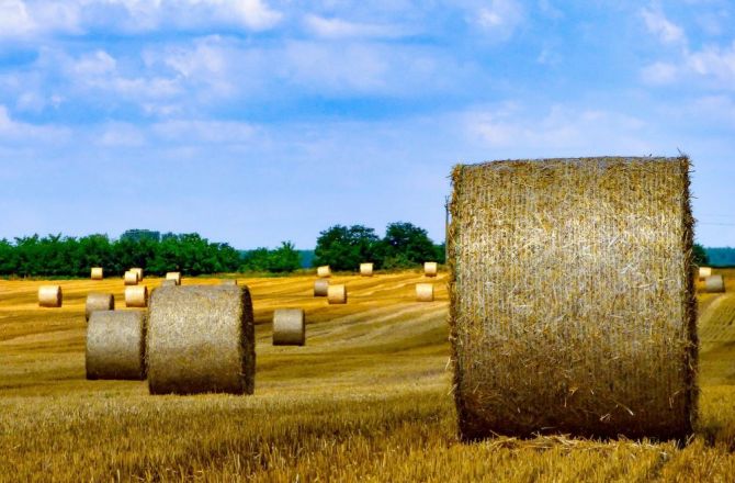 Ciągły strach przed drożyzną wzbudza niezadowolenie