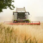 Powinniśmy odzyskać kontrolę nad własnym rynkiem zbytu